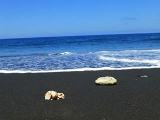 Tutta La Casa Etang-Salé les Hauts 242142