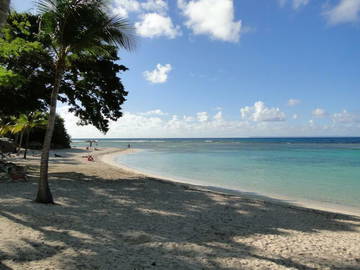 Ganzes Haus Saint-François 102339-12
