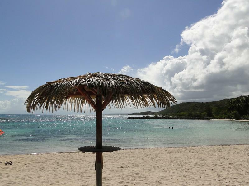 Tutta La Casa Saint-François 102339