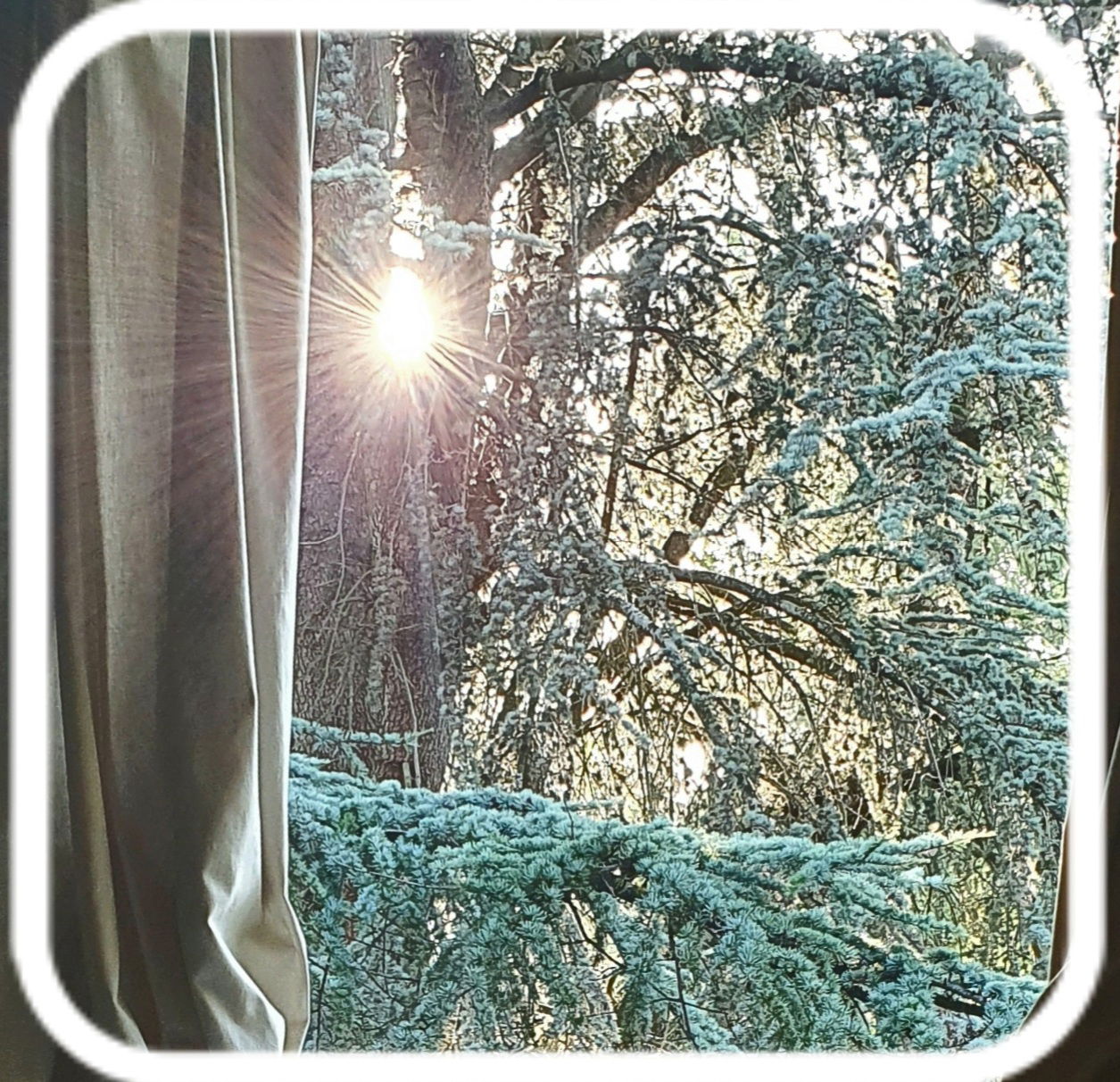 Hjemmeophold Cheyres-Châbles 583121