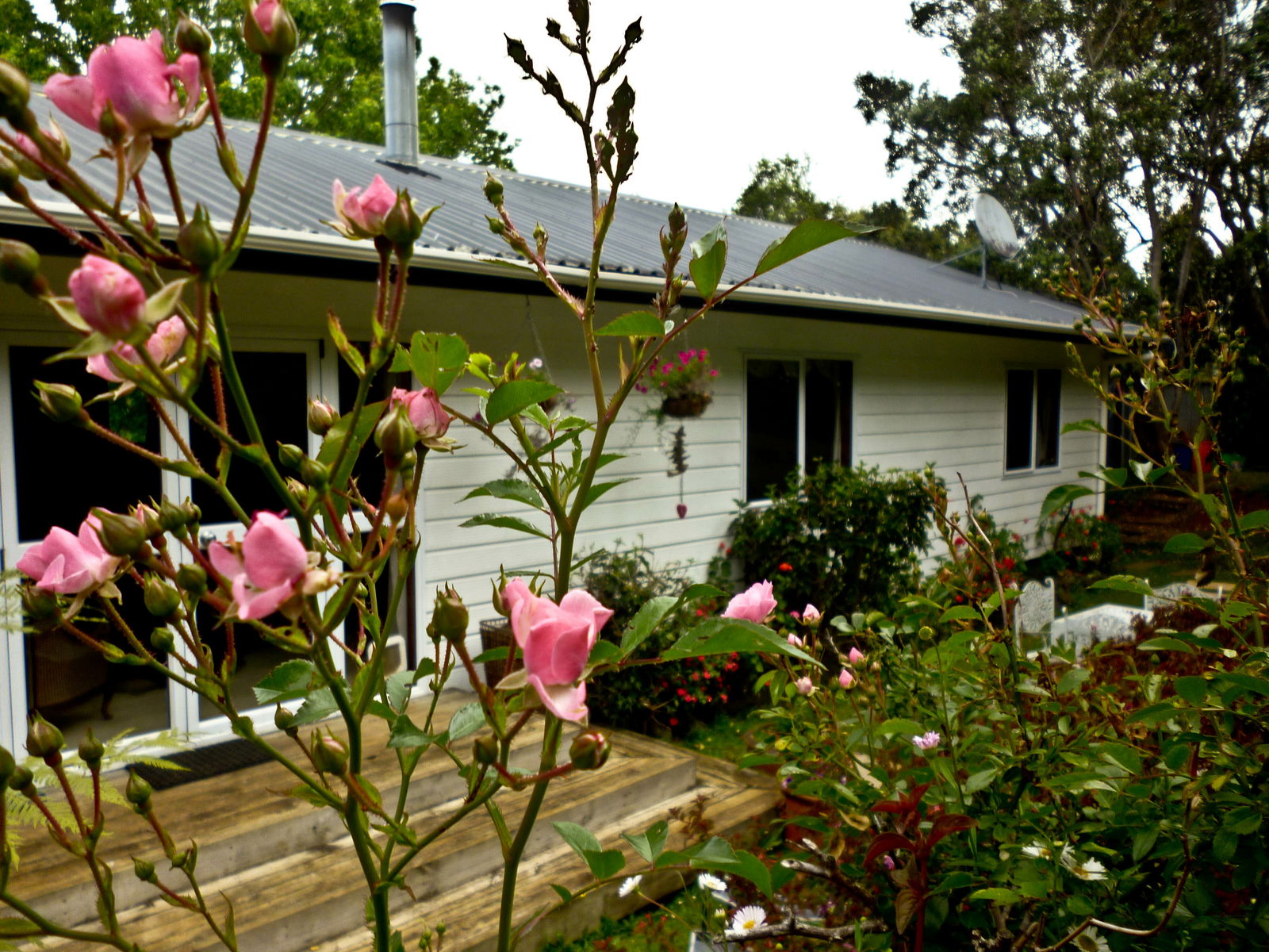 Quedarse En Casa Kerikeri 88040