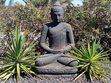 Logement Entier La Oliva 131217-7