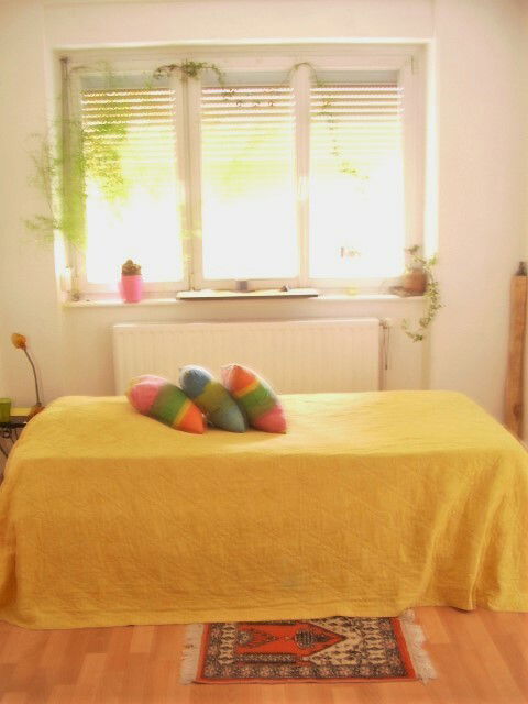 Colocation Strasbourg 146432