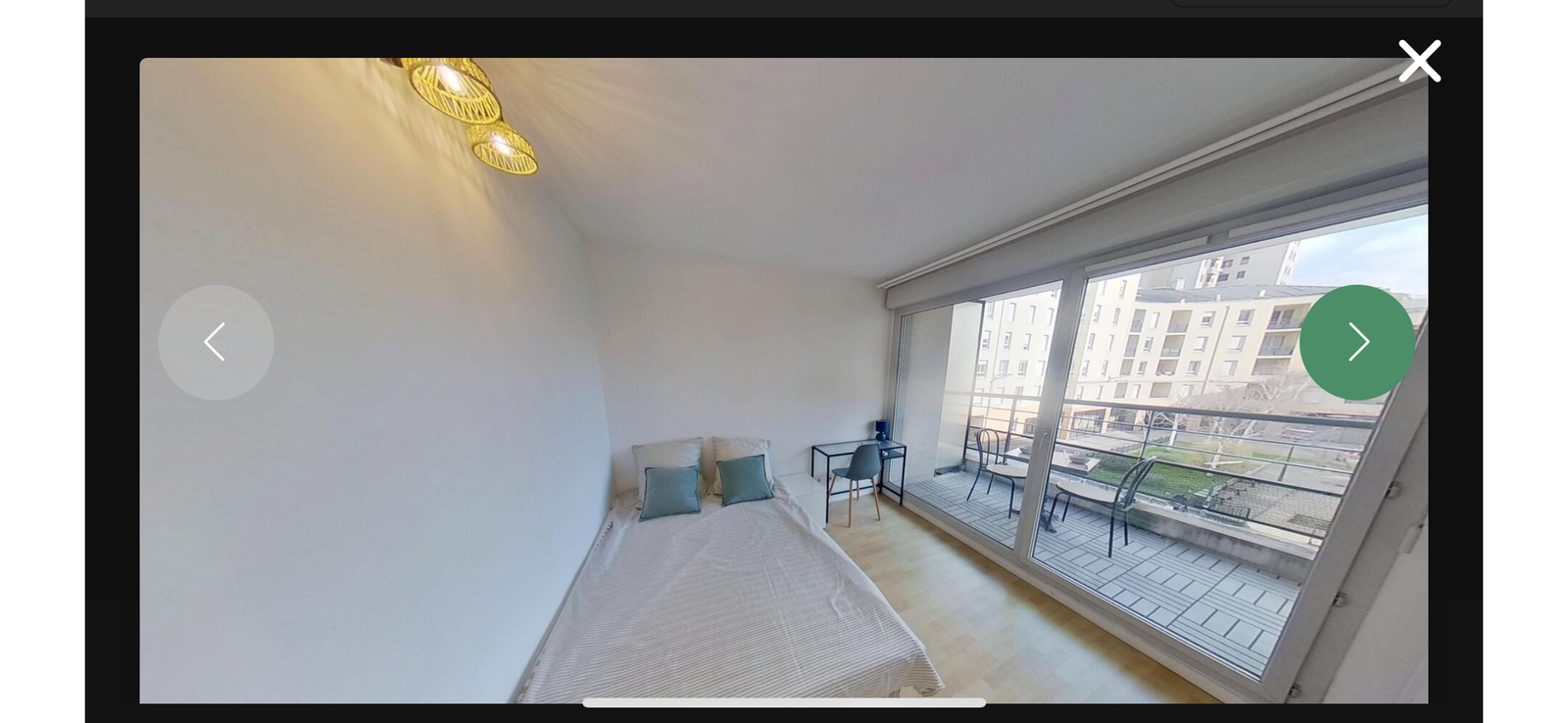 Colocation Lyon 513960