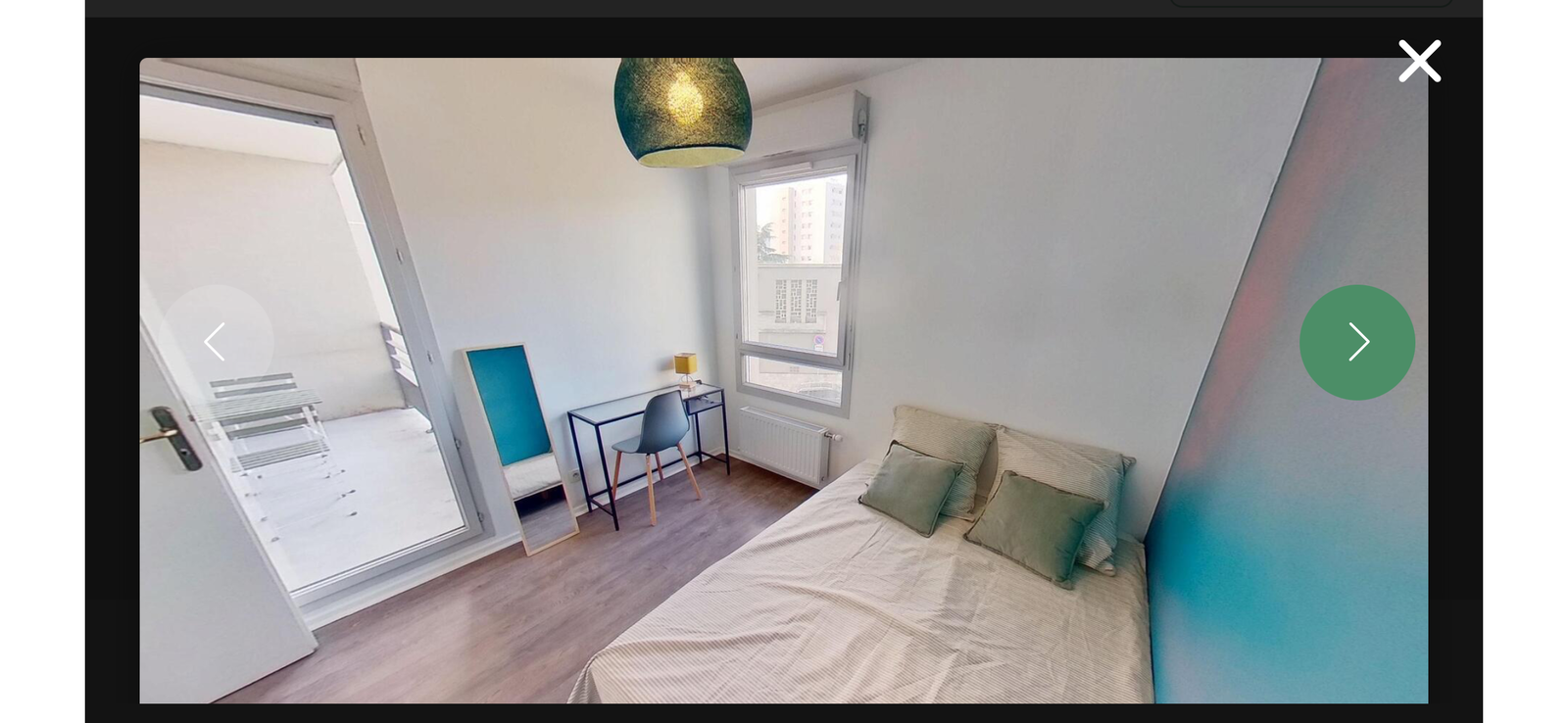 Colocation Lyon 513960