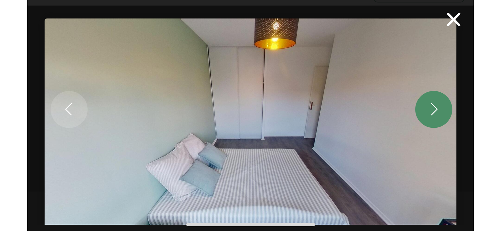 Colocation Lyon 513960