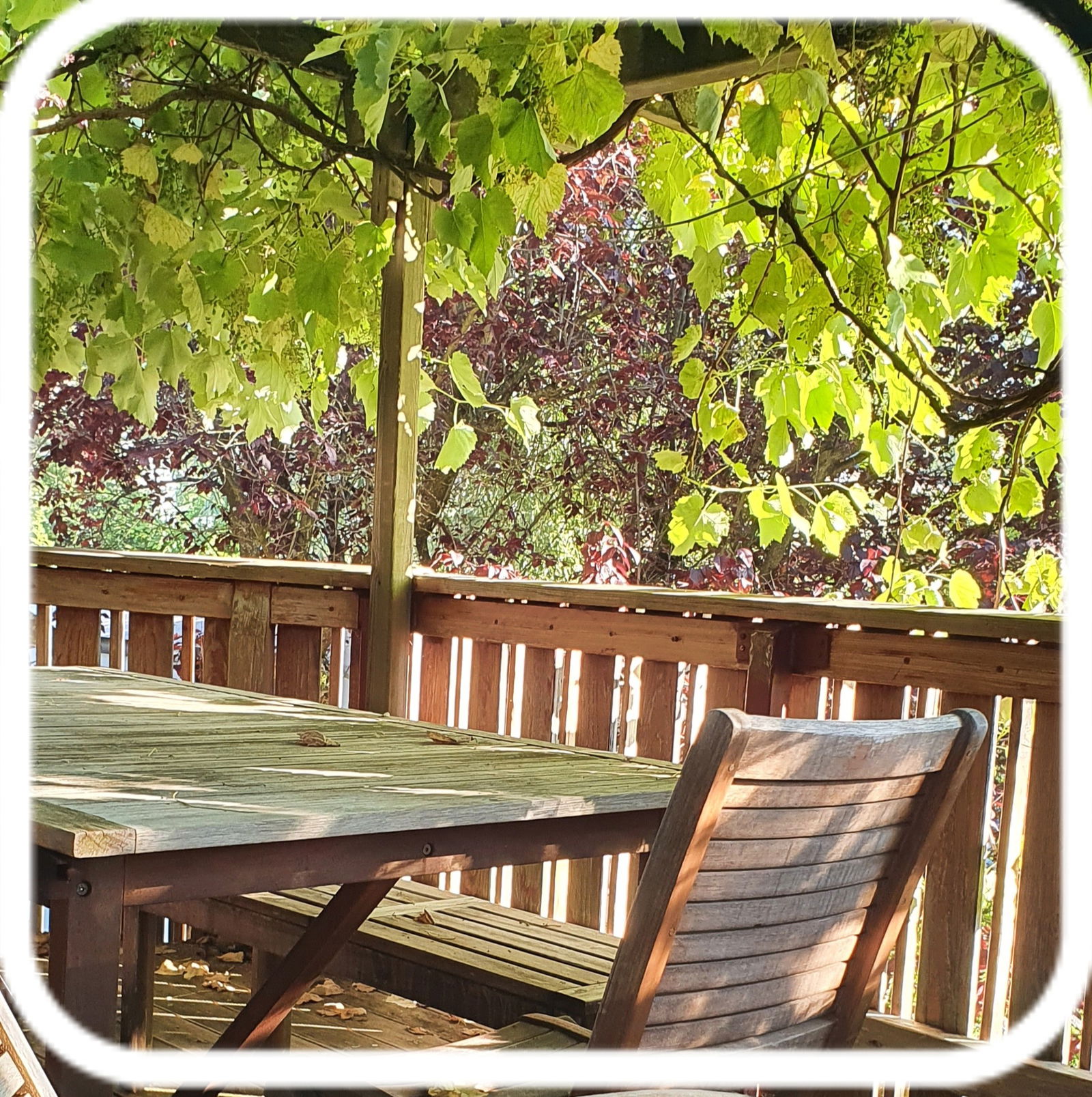 Homestay Cheyres-Châbles 583121