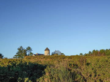 Logement Entier Saint-Just 288440-14