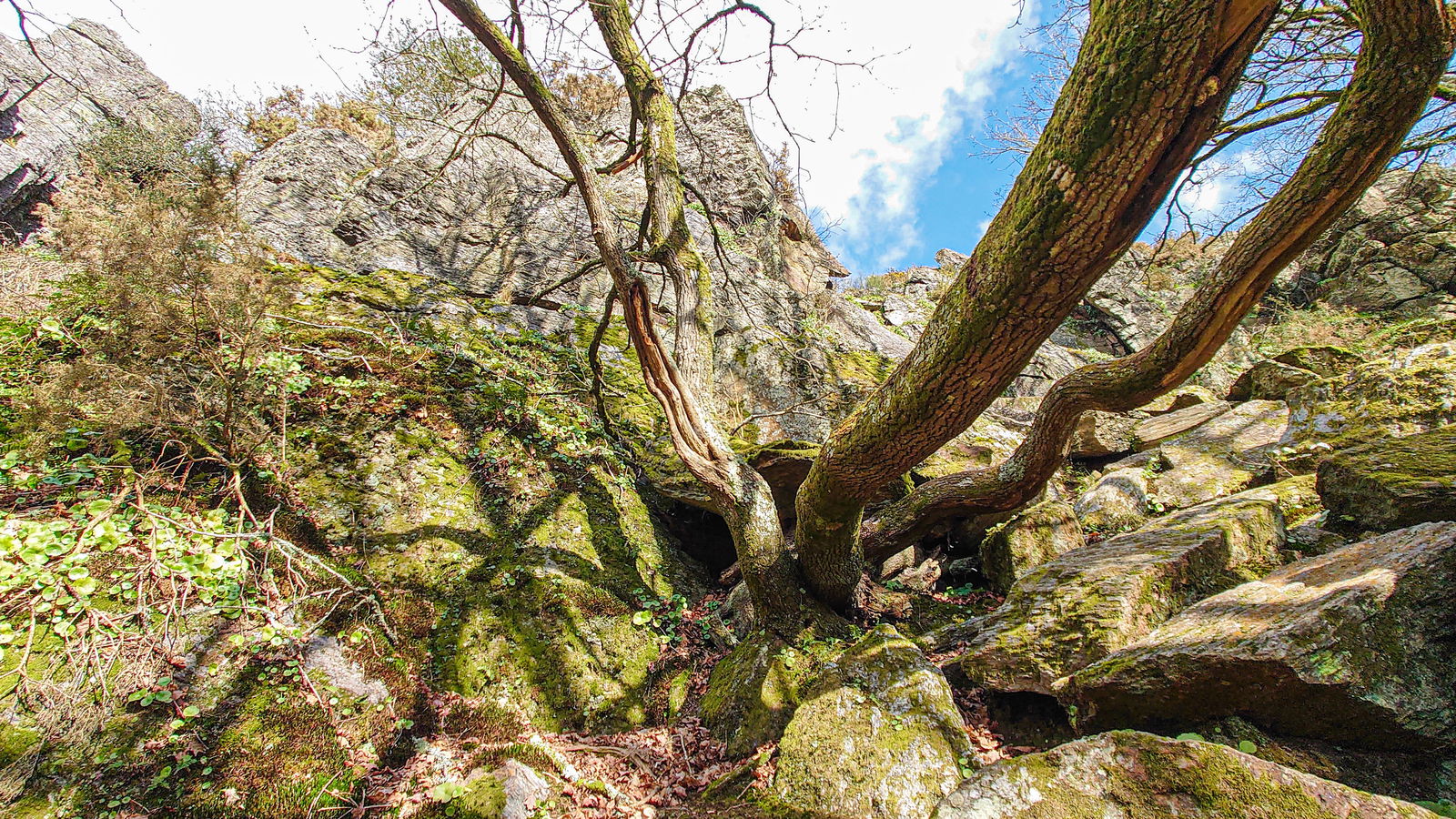 Entire Home Saint-Just 288440