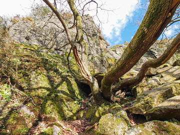 Logement Entier Saint-Just 288440-16