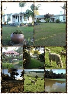 Homestay Titoki 172645