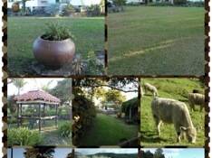 Chambre Chez L'habitant Titoki 172645-6