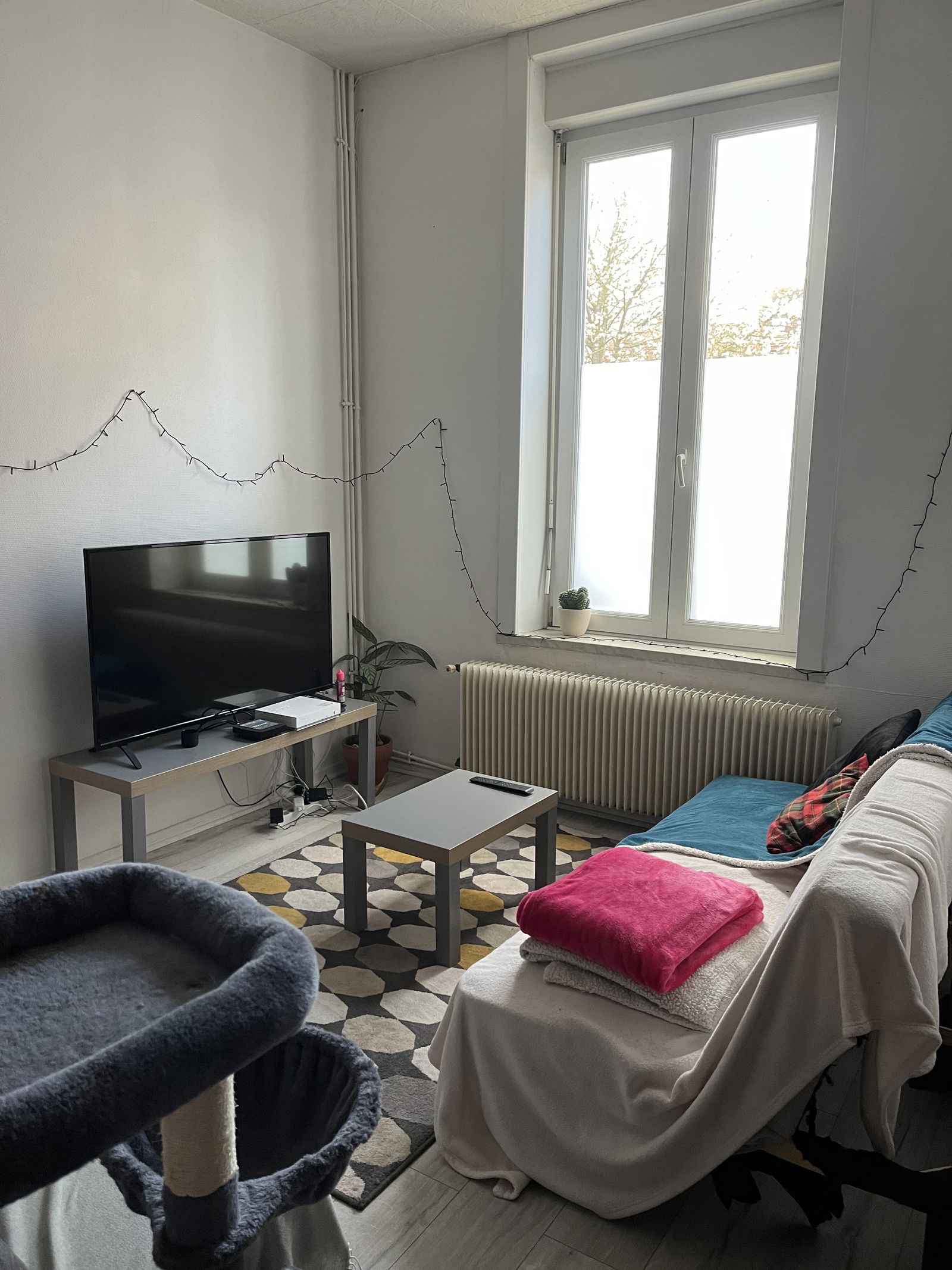 Colocation Lille 388352
