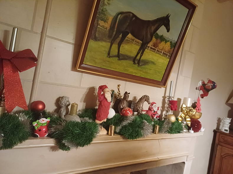 Tuisverblyf Montignac-Charente 373214-1