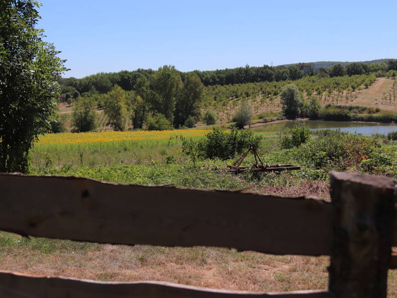 Gastfamilie Savignac-sur-Leyze 380007-3