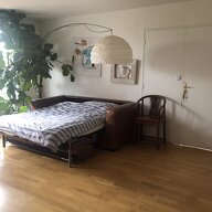 Colocation Noisy-le-Grand 390556