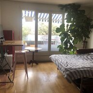 Colocation Noisy-le-Grand 390556