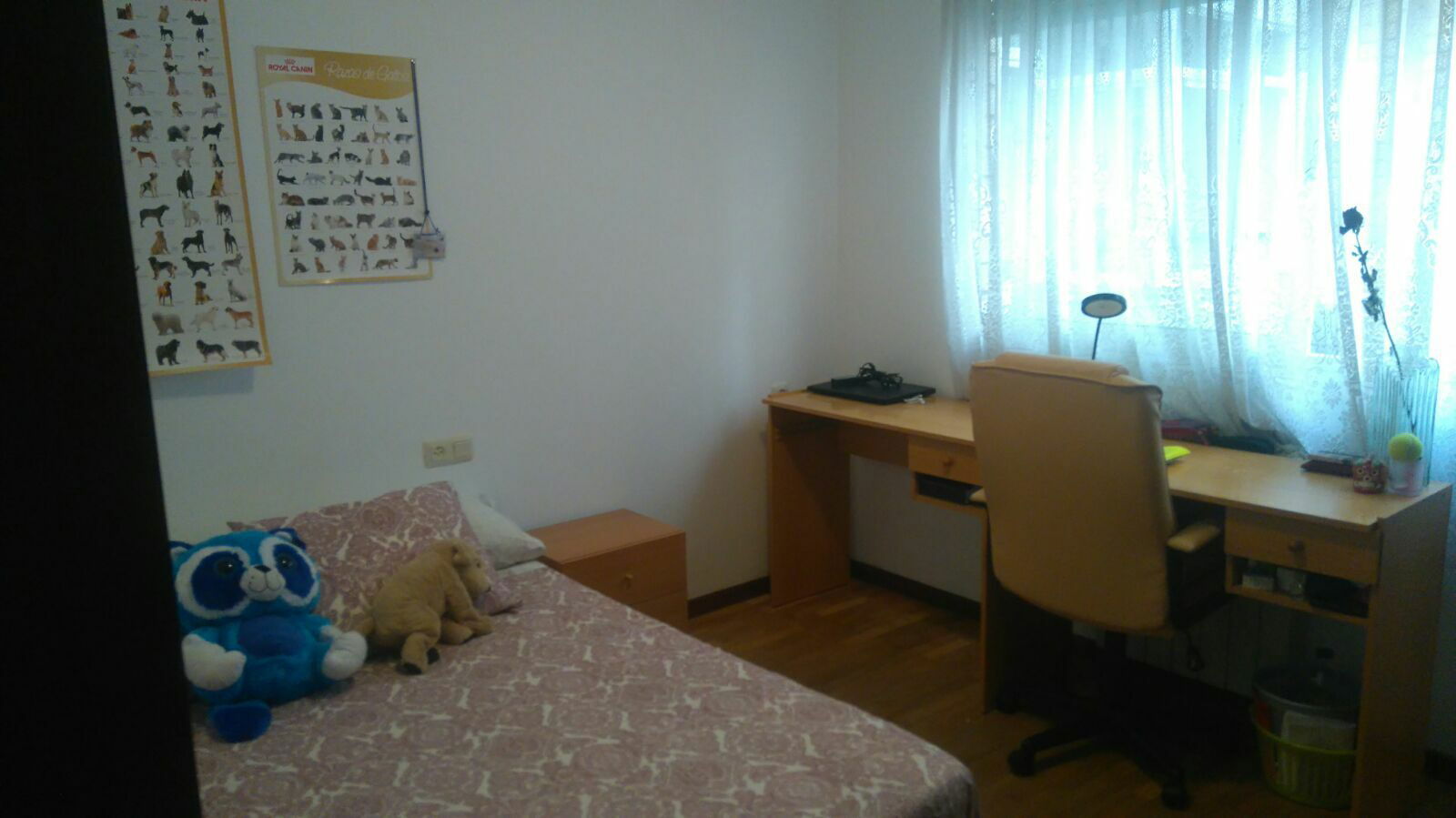 Colocation León 170435