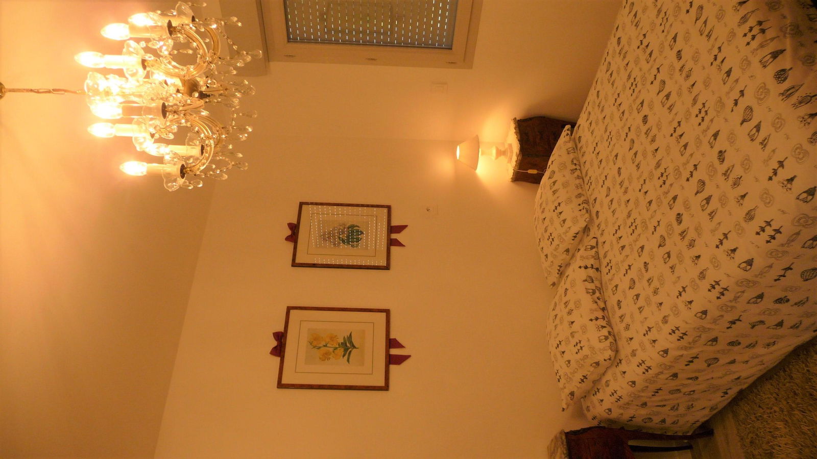 Homestay Saint-Jean-de-Braye 356141