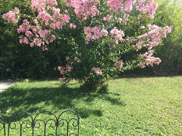 Chambre Chez L'habitant Saint-Cyr-Sur-Loire 144557-11