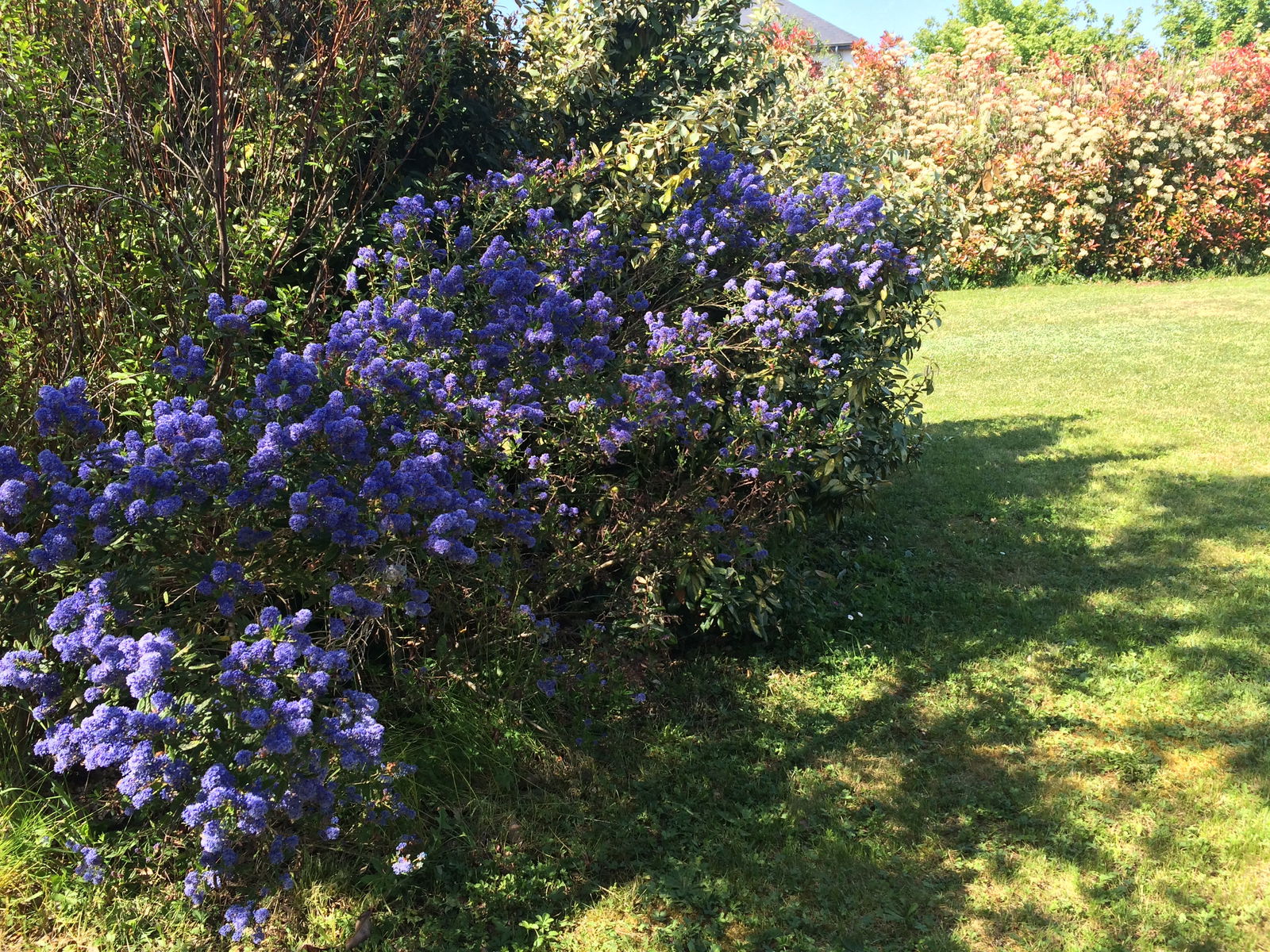 Homestay Saint-Cyr-sur-Loire 144557