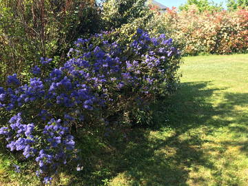 Chambre Chez L'habitant Saint-Cyr-Sur-Loire 144557-12