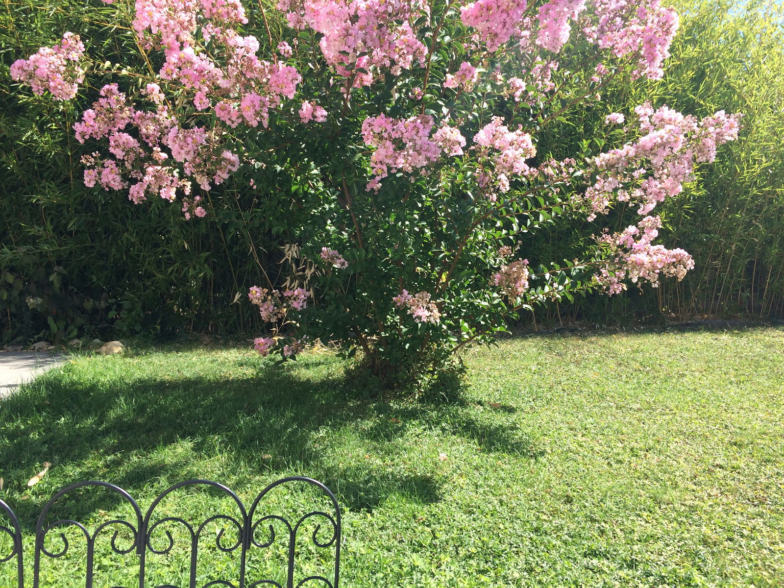 Gastfamilie Saint-Cyr-sur-Loire 144557