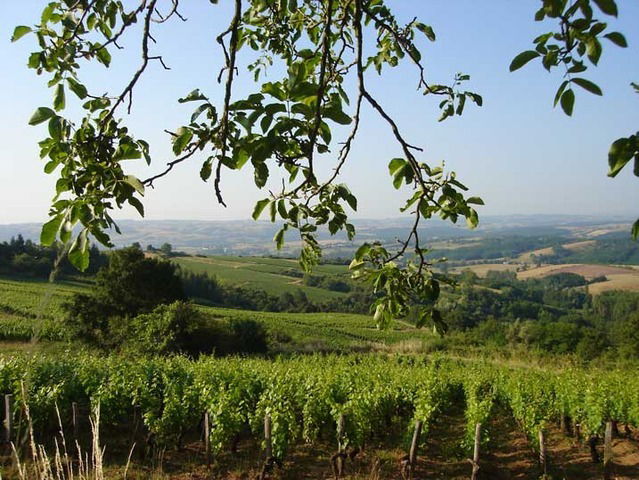 Estudio Independiente Couches 22400