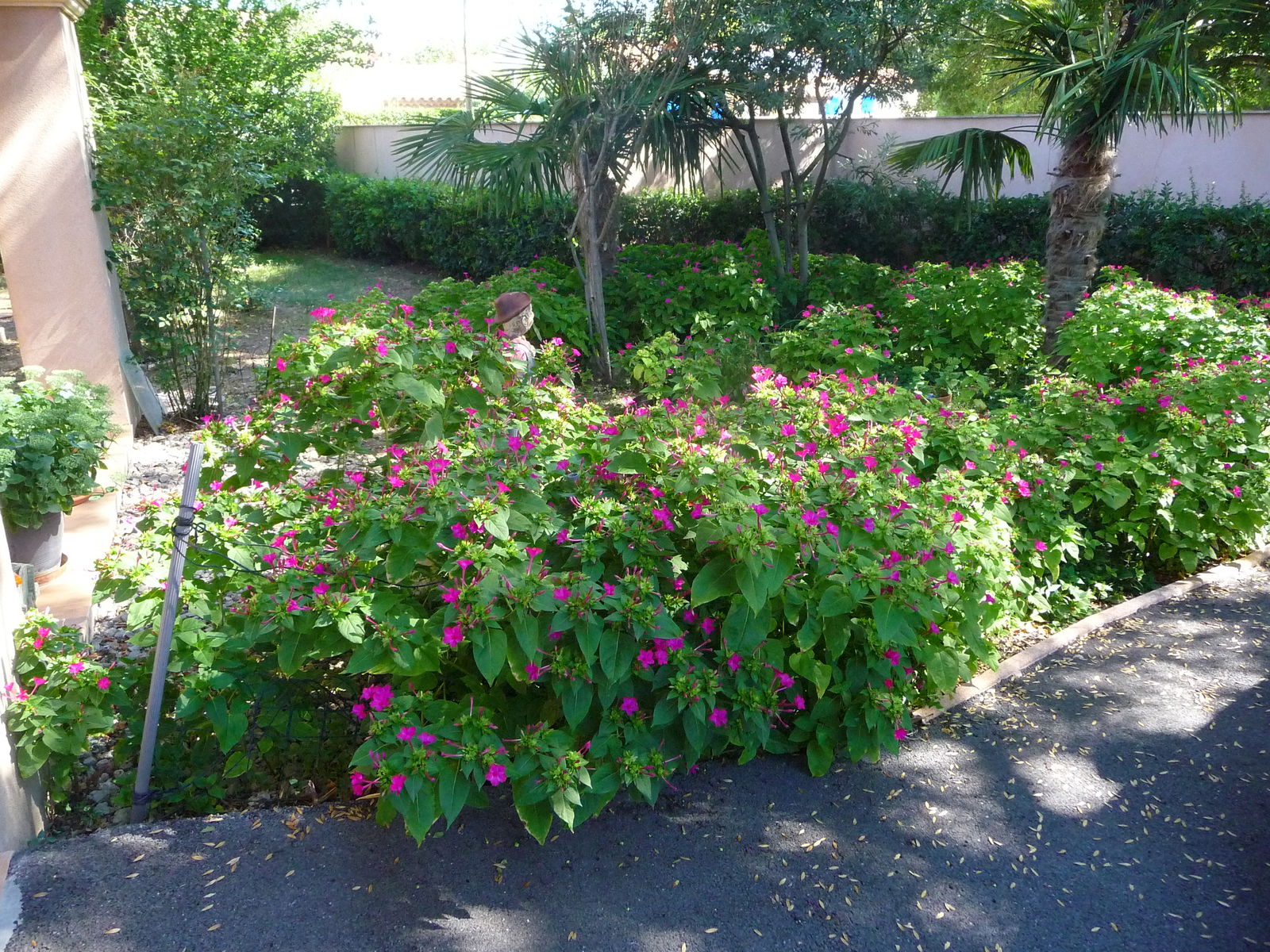 Independent Studio Vidauban 128631