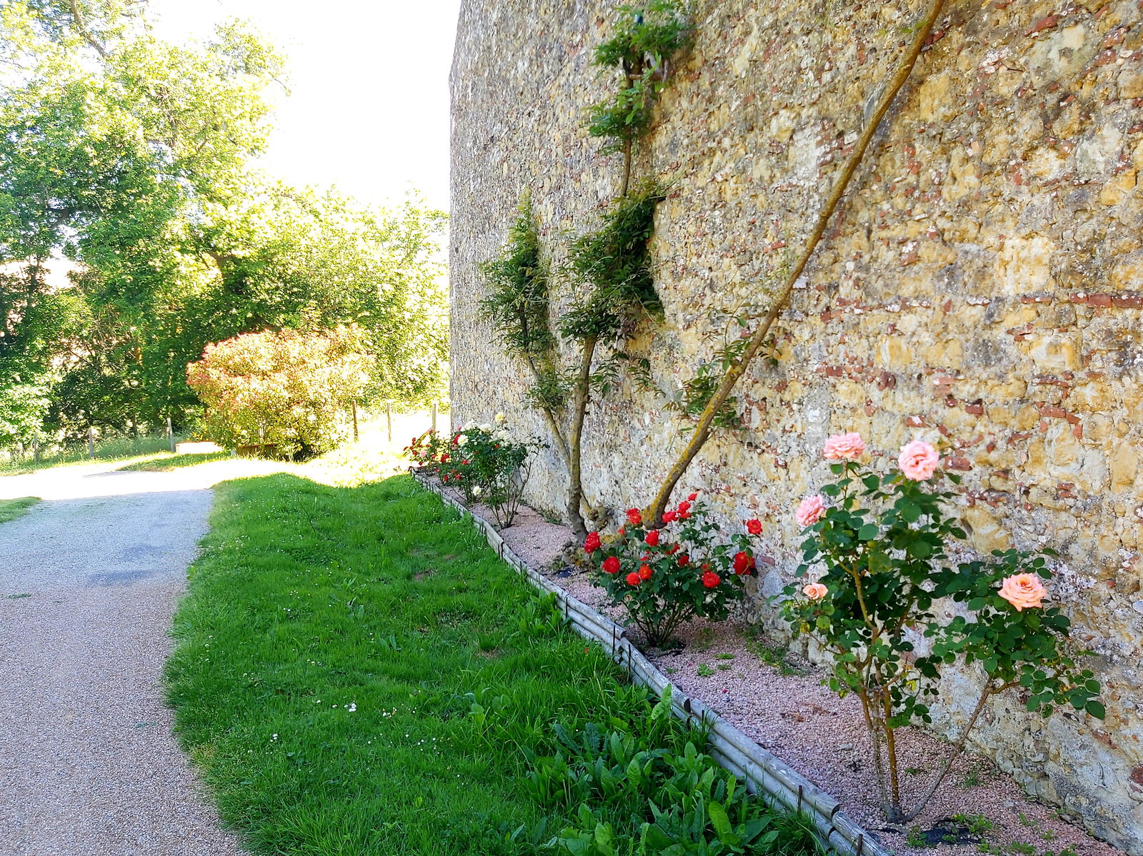 Hele Huis Lagarde 265441