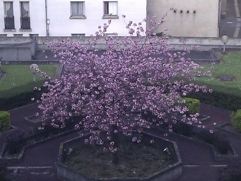 Zakwaterowanie U Rodziny Tours 60459-1