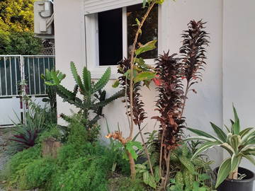 Logement Entier Baie-Mahault 261379-12