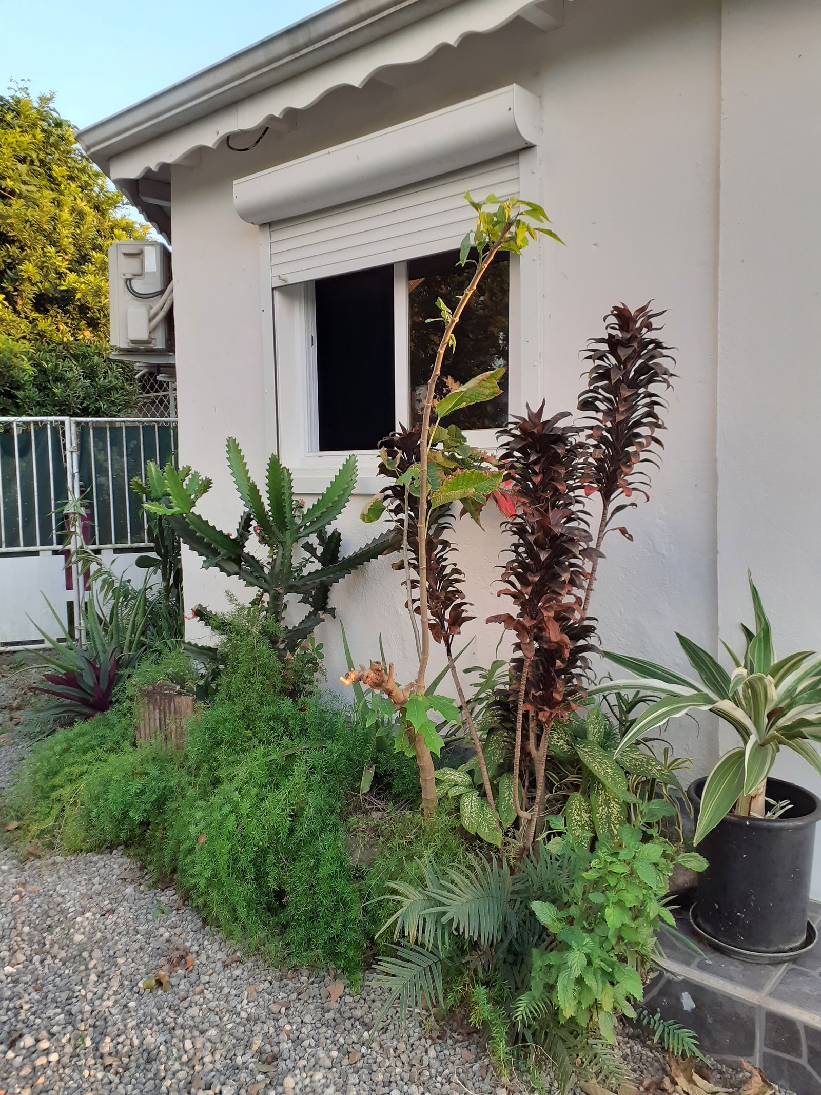 Tutta La Casa Baie-Mahault 261379