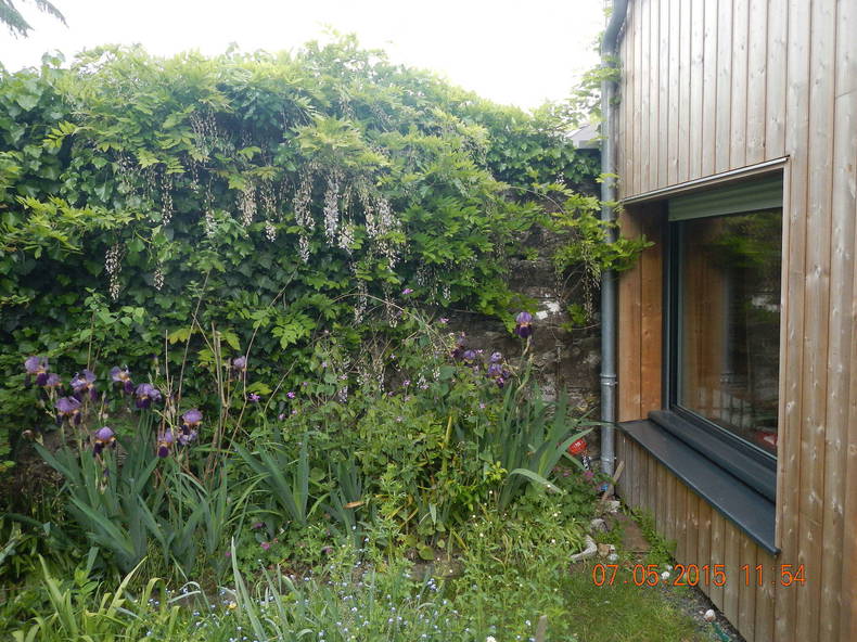 Homestay Nantes 170979-3