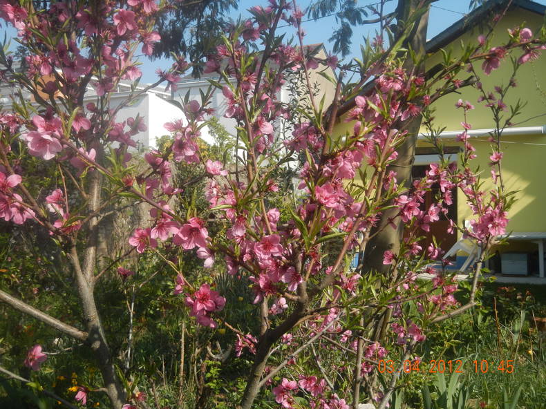 Homestay Nantes 170979-4