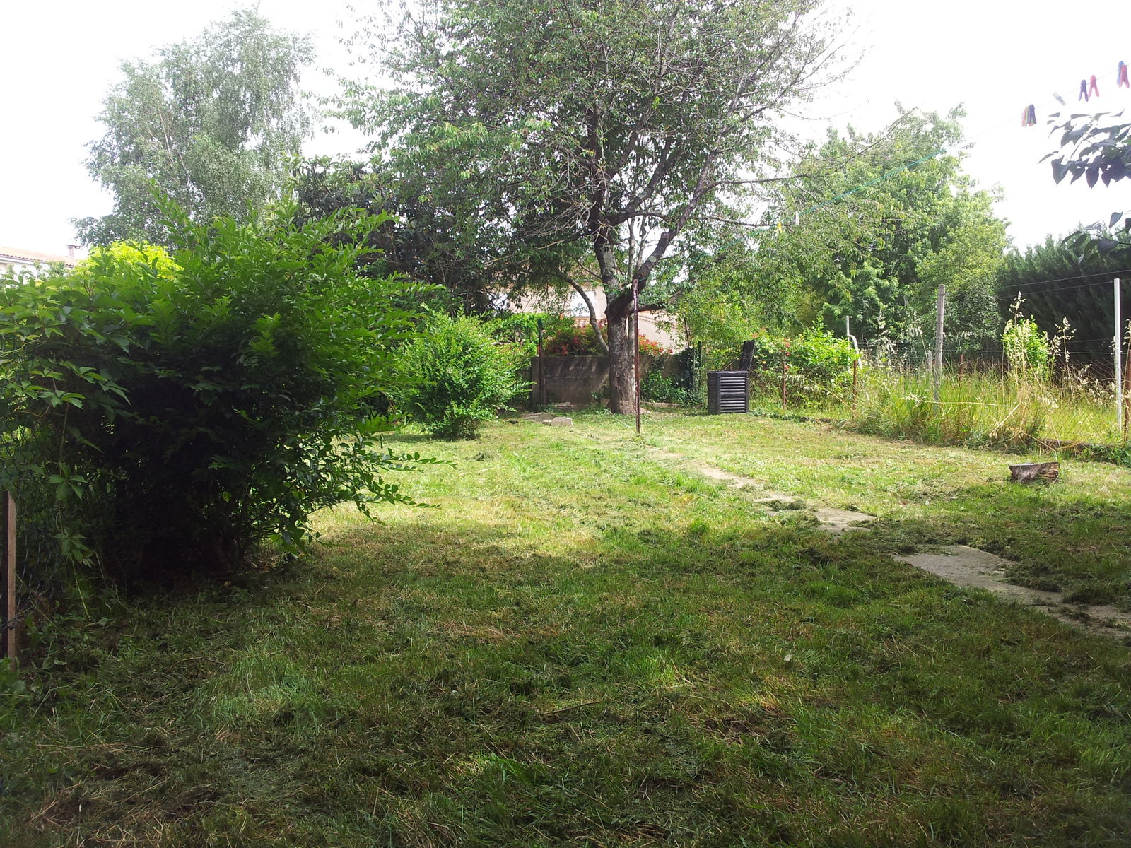 Colocation Castres 143469