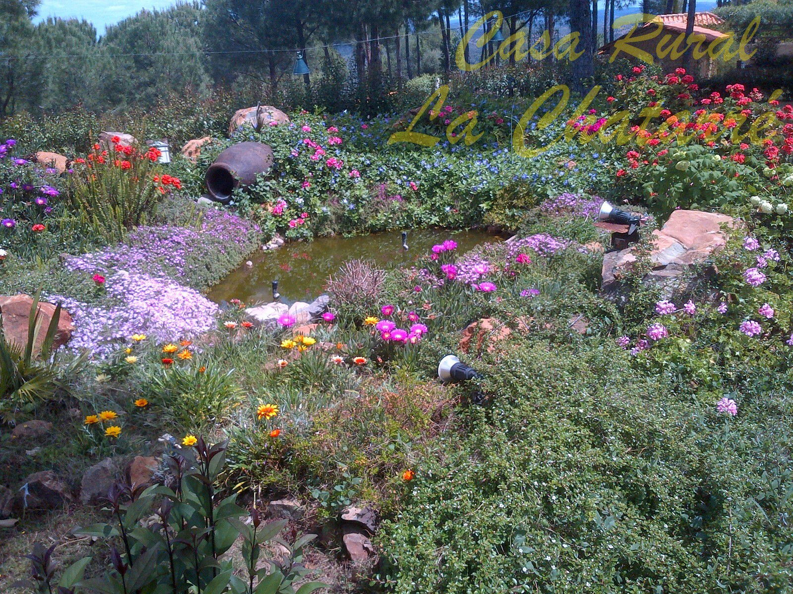 Tutta La Casa Zalamea la Real 97514