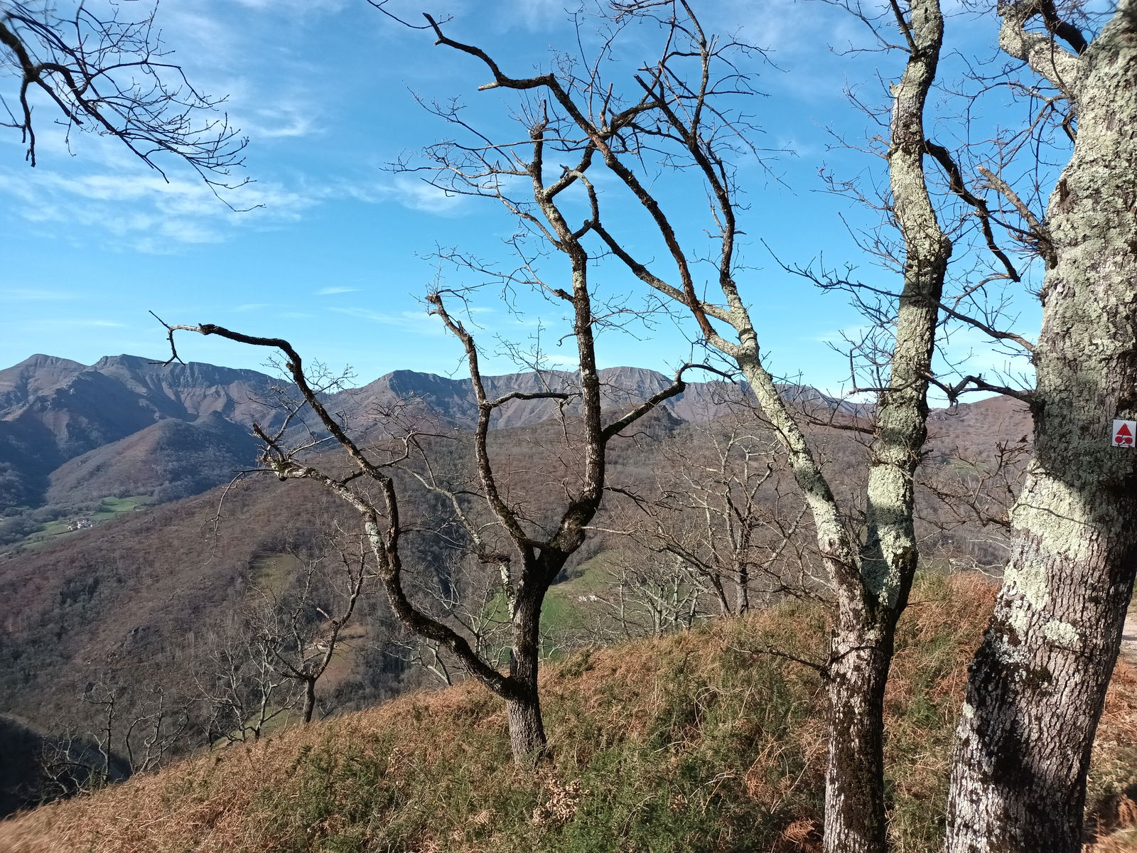 Famiglia Saint-Pierre-d'Irube 256555