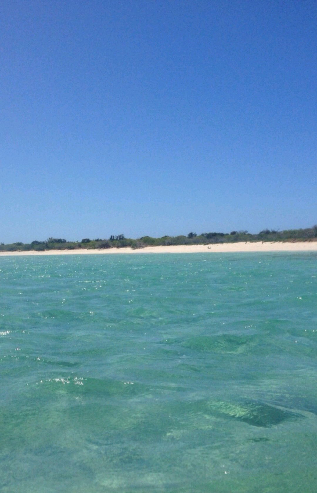 Famiglia Saint-Pierre-d'Irube 256555