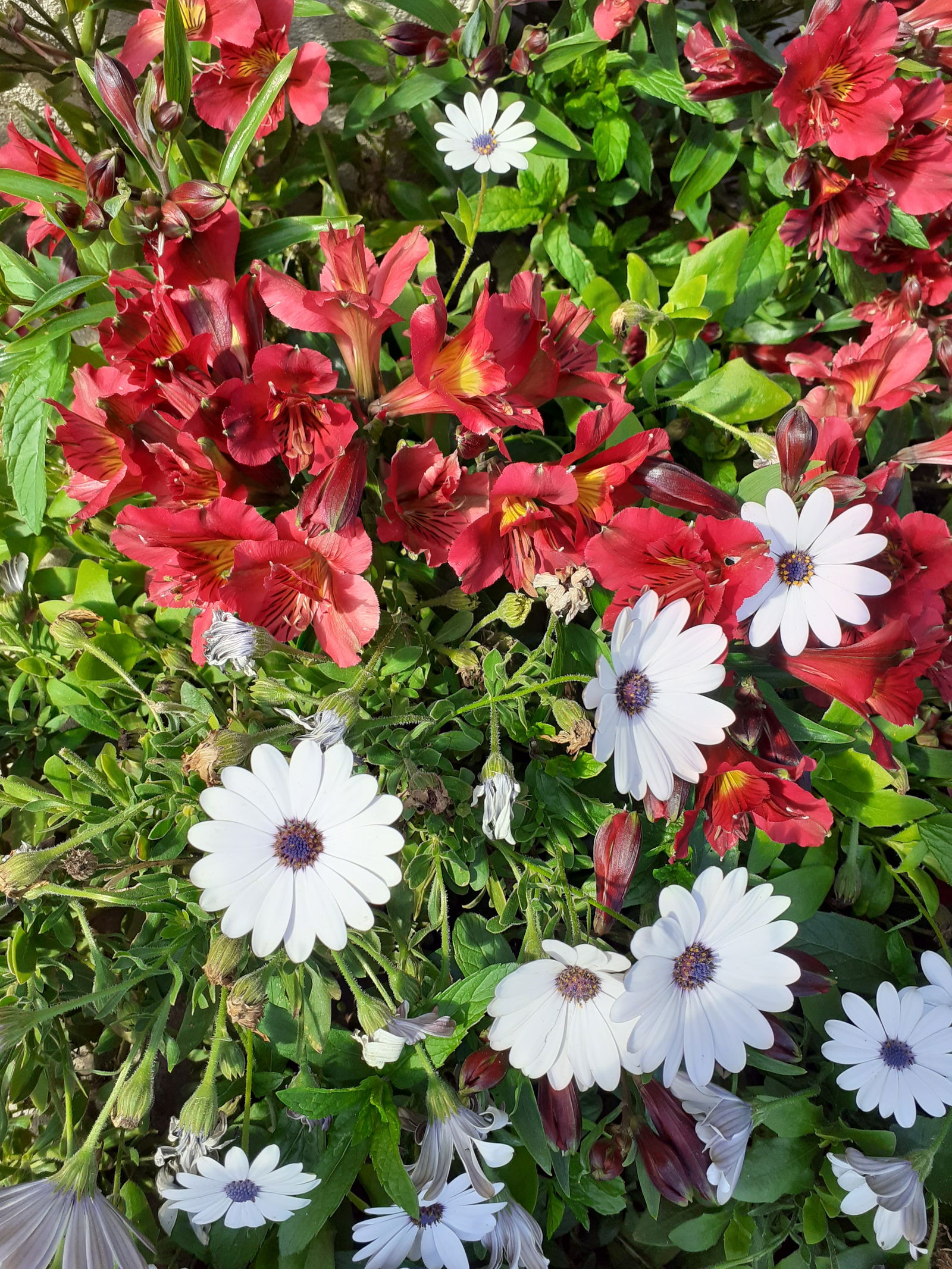 Tutta La Casa Sorgues 162543