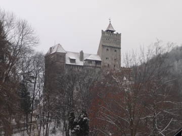 Wg-Zimmer Argeș County 196590