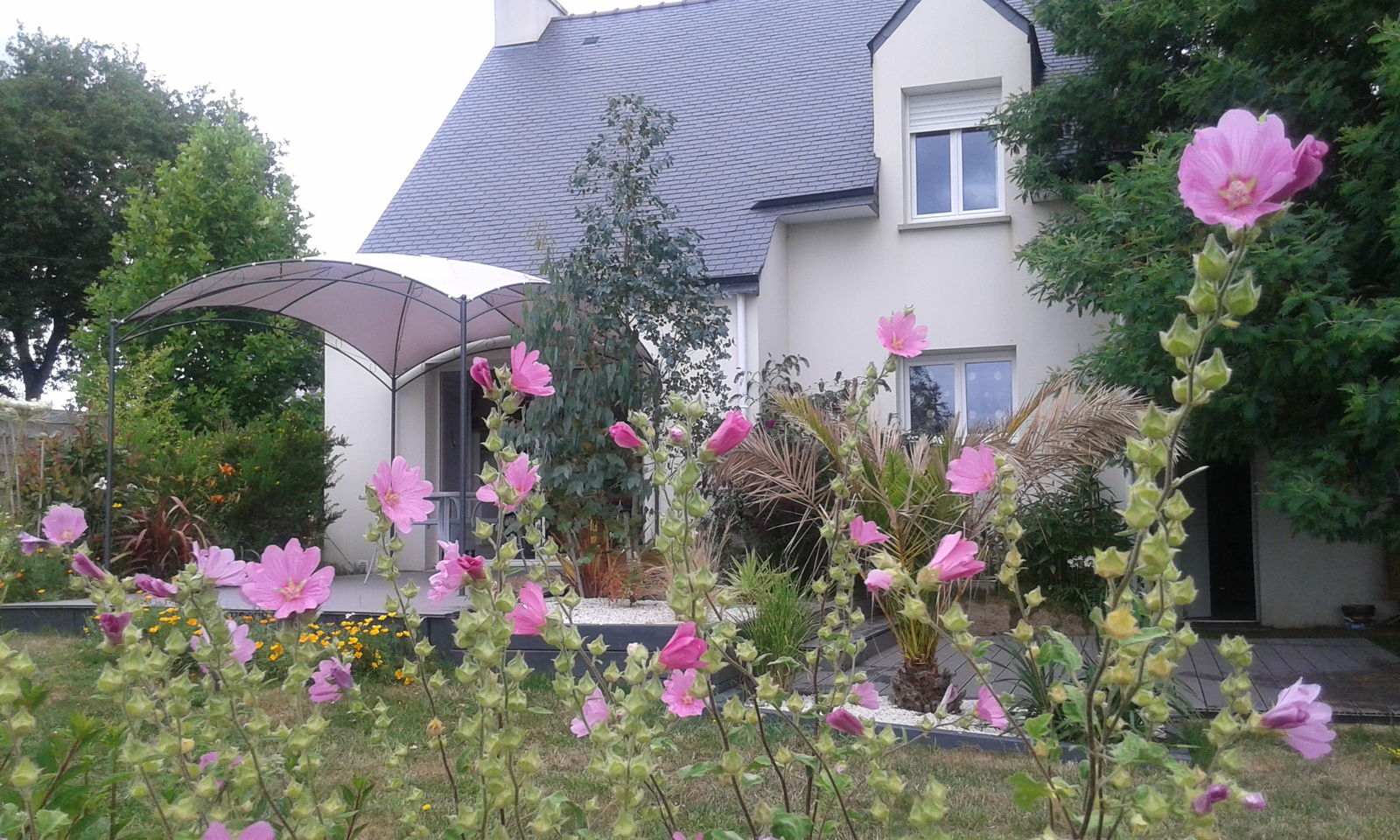 Oberoende Studio Ploemel 125287