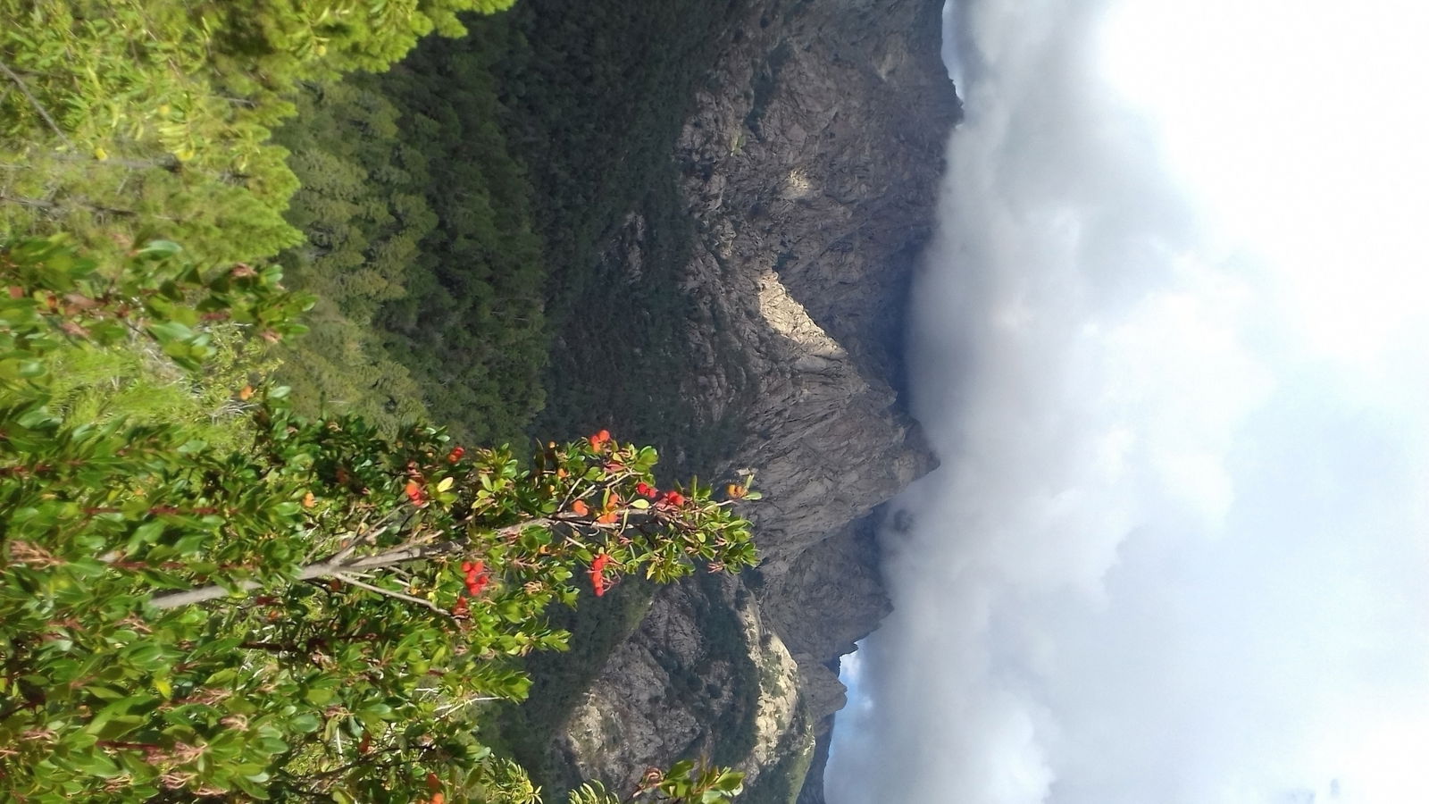 Niezależne Studio Guagno 40722