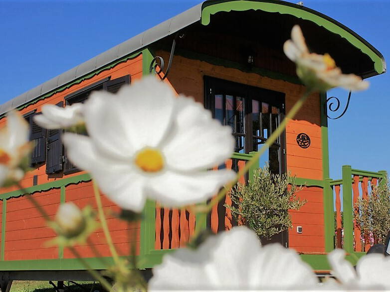 Toda La Casa Pauilhac 257887-1