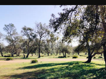 Ganzes Haus Sala Al Jadida 623051-12