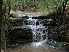 Quedarse En Casa Auckland 118314-6