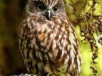 Quedarse En Casa Auckland 118314-7