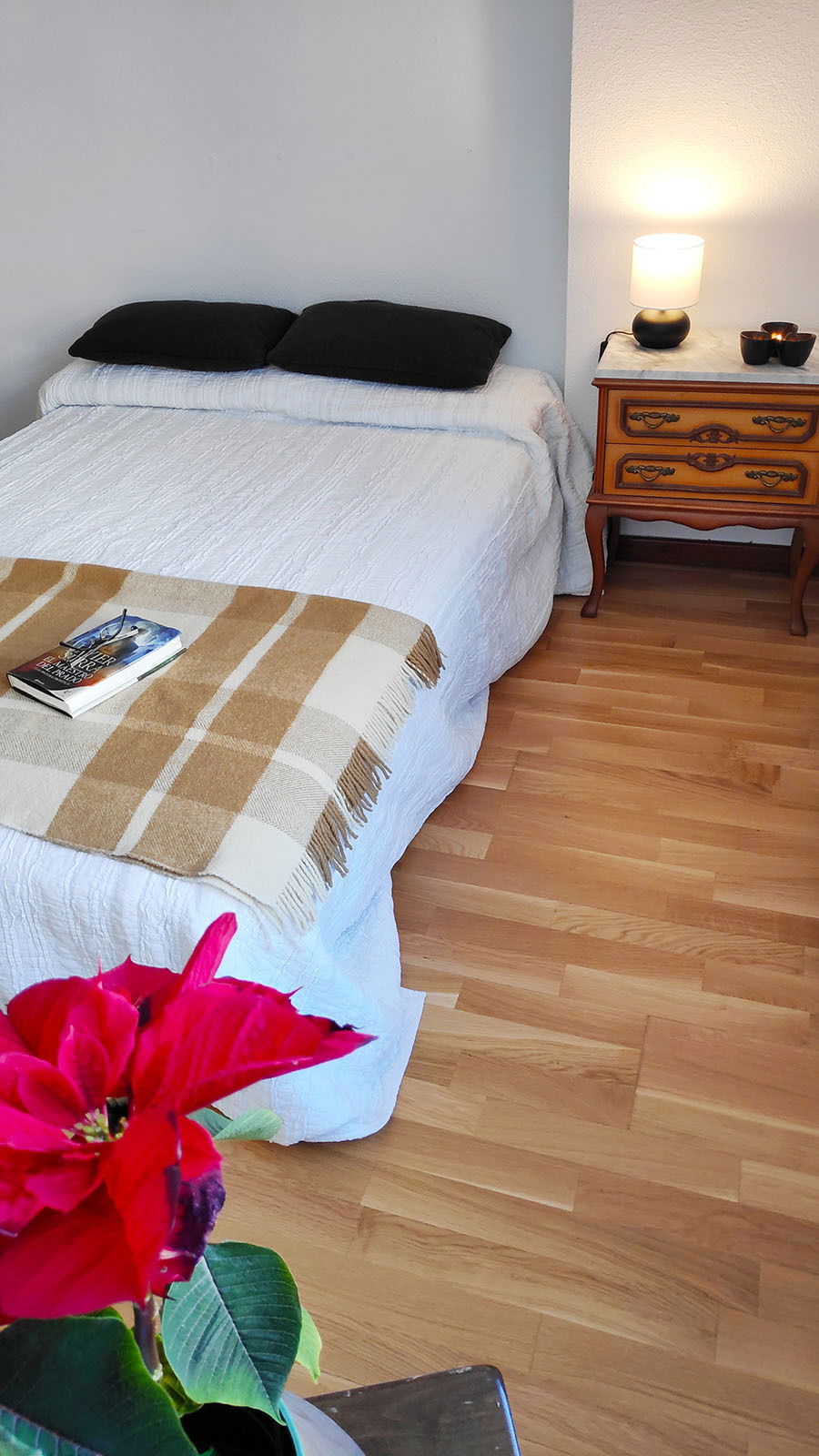Homestay Las Rozas de Madrid 244862