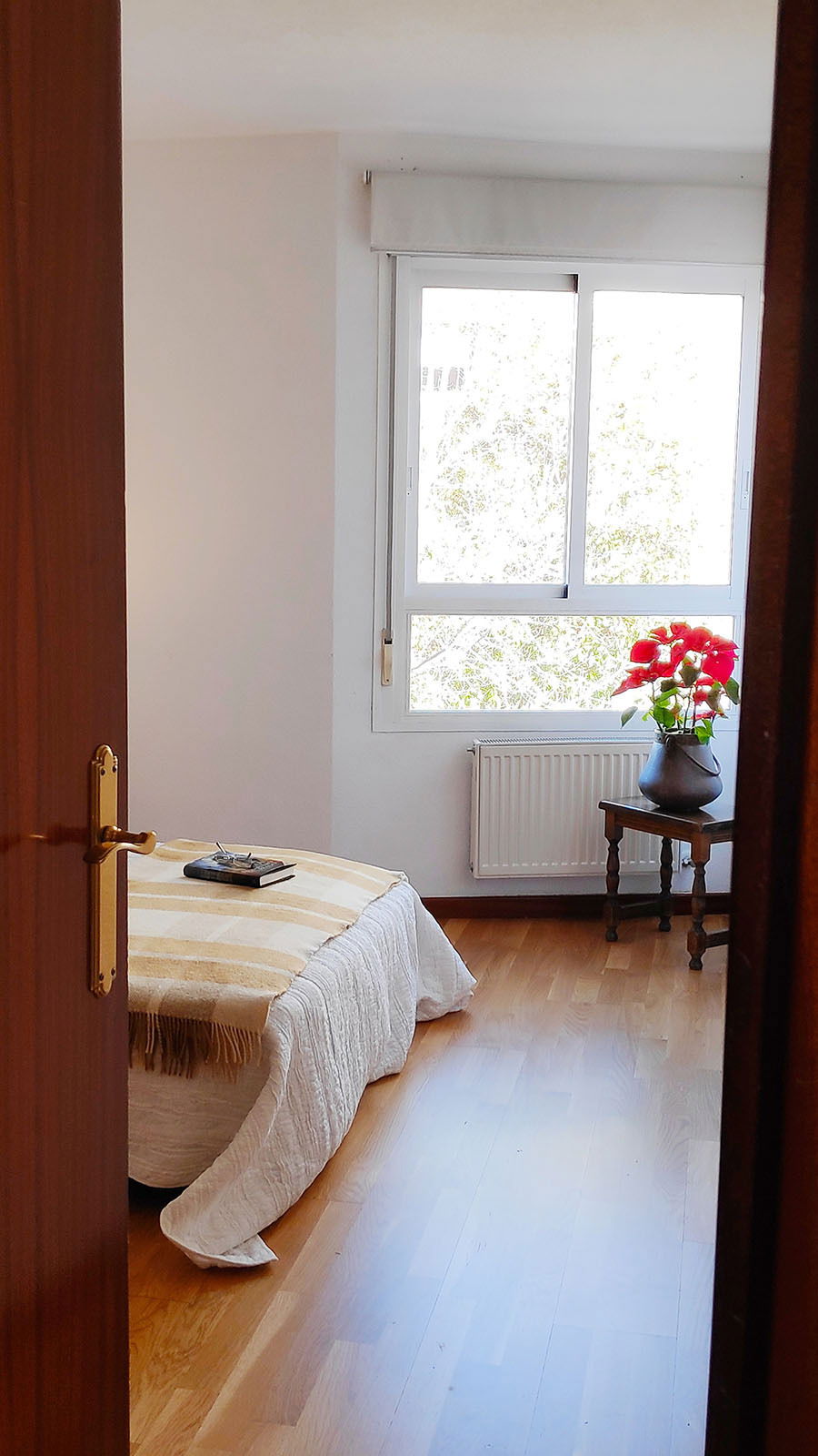 Homestay Las Rozas de Madrid 244862