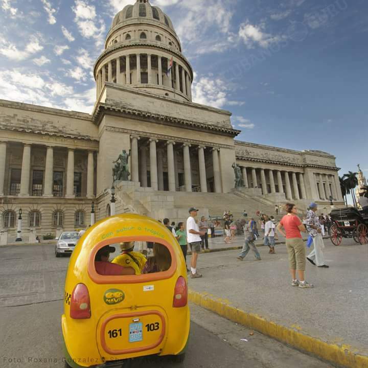 Famiglia La Havane 162520